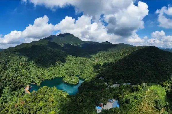 宏基资本 穿越400年原始森林，化身小小科学家！鼎湖山研学营火热报名中！